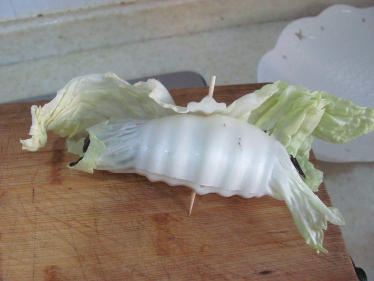 白菜虾仁卷步骤5