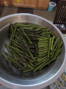 芦笋煎三文鱼步骤5