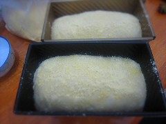 粗玉米面吐司三明治步骤7