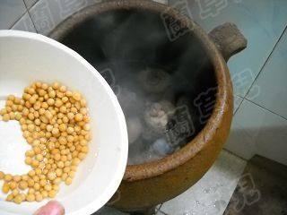 黄豆煨猪蹄步骤5