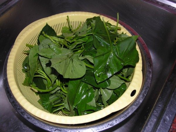 蒜蓉炒番薯叶步骤1