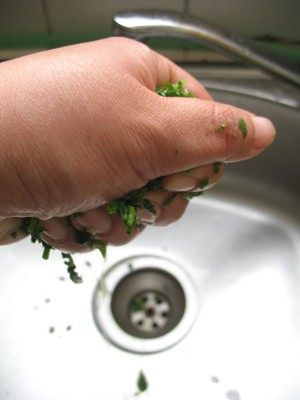 荠菜鲜肉馄饨步骤6