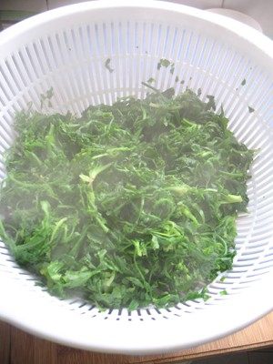 荠菜鲜肉馄饨步骤5