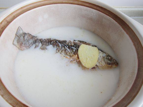 鲫鱼银耳汤步骤6