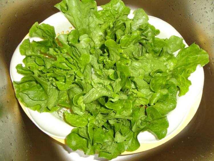 素炒青菜步骤1