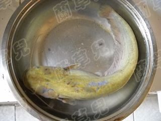 砂锅鲶鱼汤步骤1