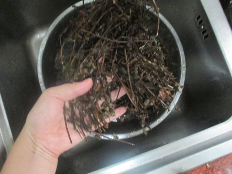 红豆煲凉粉草步骤2