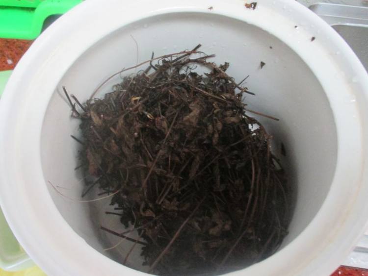 红豆煲凉粉草步骤3