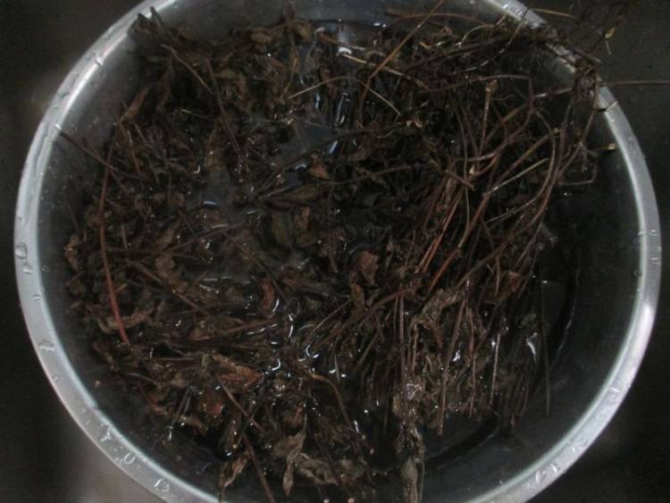 红豆煲凉粉草步骤1