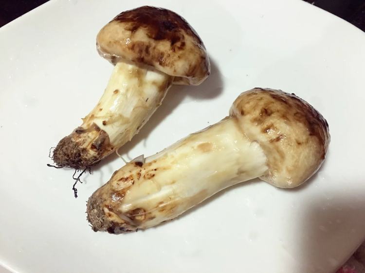 黄油煎松茸步骤2