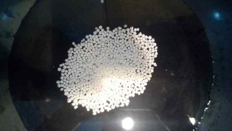 芒果橘子西米露步骤2