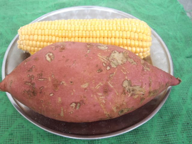 甜玉米红薯粥步骤2