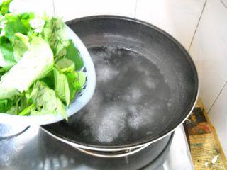 蒜蓉辣拌红薯藤步骤5