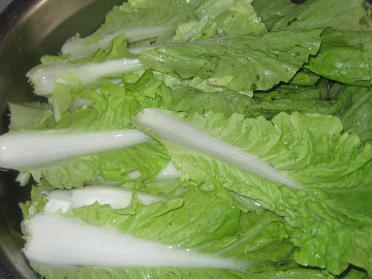 白菜豆干步骤1
