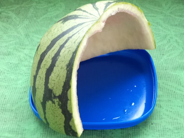 糖醋海带瓜条步骤1