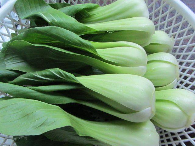 香菇快炒青菜步骤1