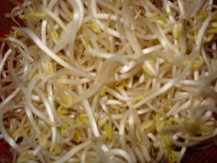 黑木耳拌绿豆芽步骤1