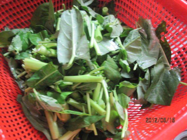 杂炒空心菜步骤1