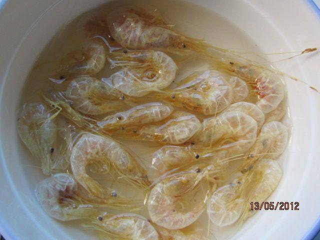 韭菜虾干烧豆腐步骤3