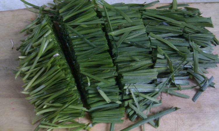 蟹味菇炒韭菜步骤2