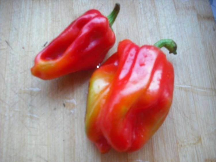 素炒韭菜红椒土豆丝步骤3