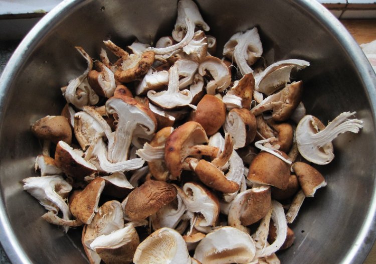 香菇炖肉步骤1