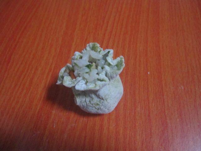 绿衣烧麦步骤11