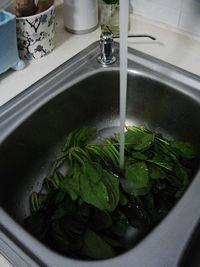 蒜蓉炒菠菜步骤1