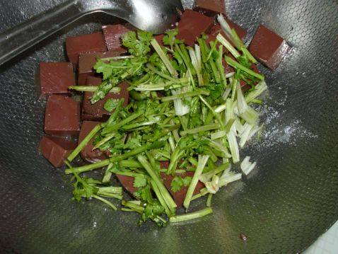 香菜炒猪血步骤4