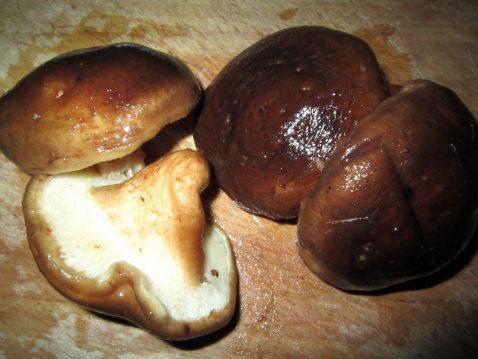 素炒两茹步骤1