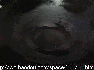 猪肝血蒜步骤5
