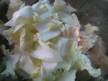 素炒椒香白菜步骤4