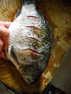 枸杞木耳炖鲫鱼步骤2