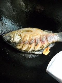 枸杞木耳炖鲫鱼步骤5