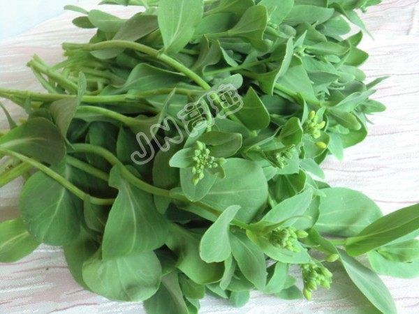 蚝油香菇油菜苔步骤2