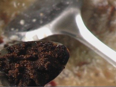 红枣糯米糖水粥-吃出步骤7