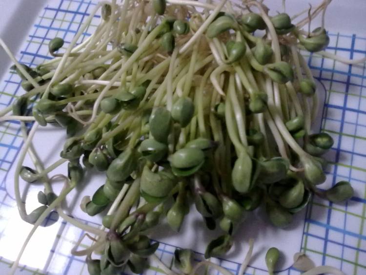 豆芽汤--儿童营养步骤1