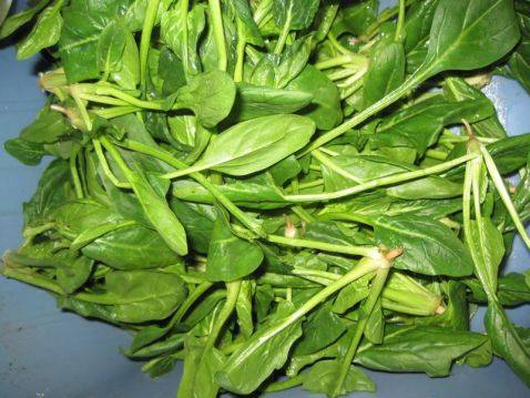 木耳菠菜炒粉丝步骤1