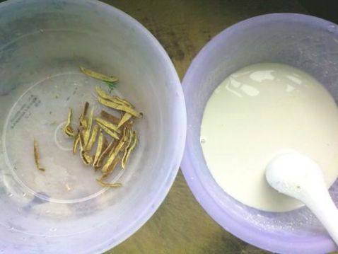 补血红豆糖水步骤5