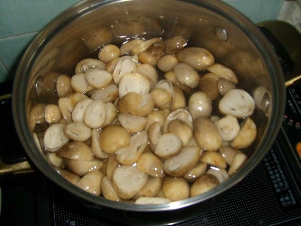草菇炒牛肉步骤3
