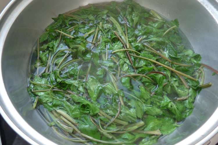 茶油姜拌当归苗步骤3