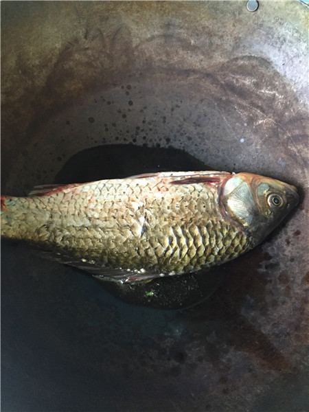 奶香鲫鱼豆腐汤步骤4