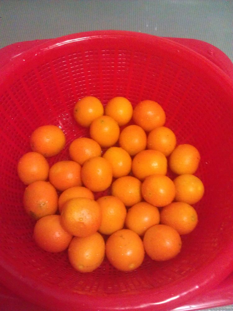 蜜饯金桔步骤1