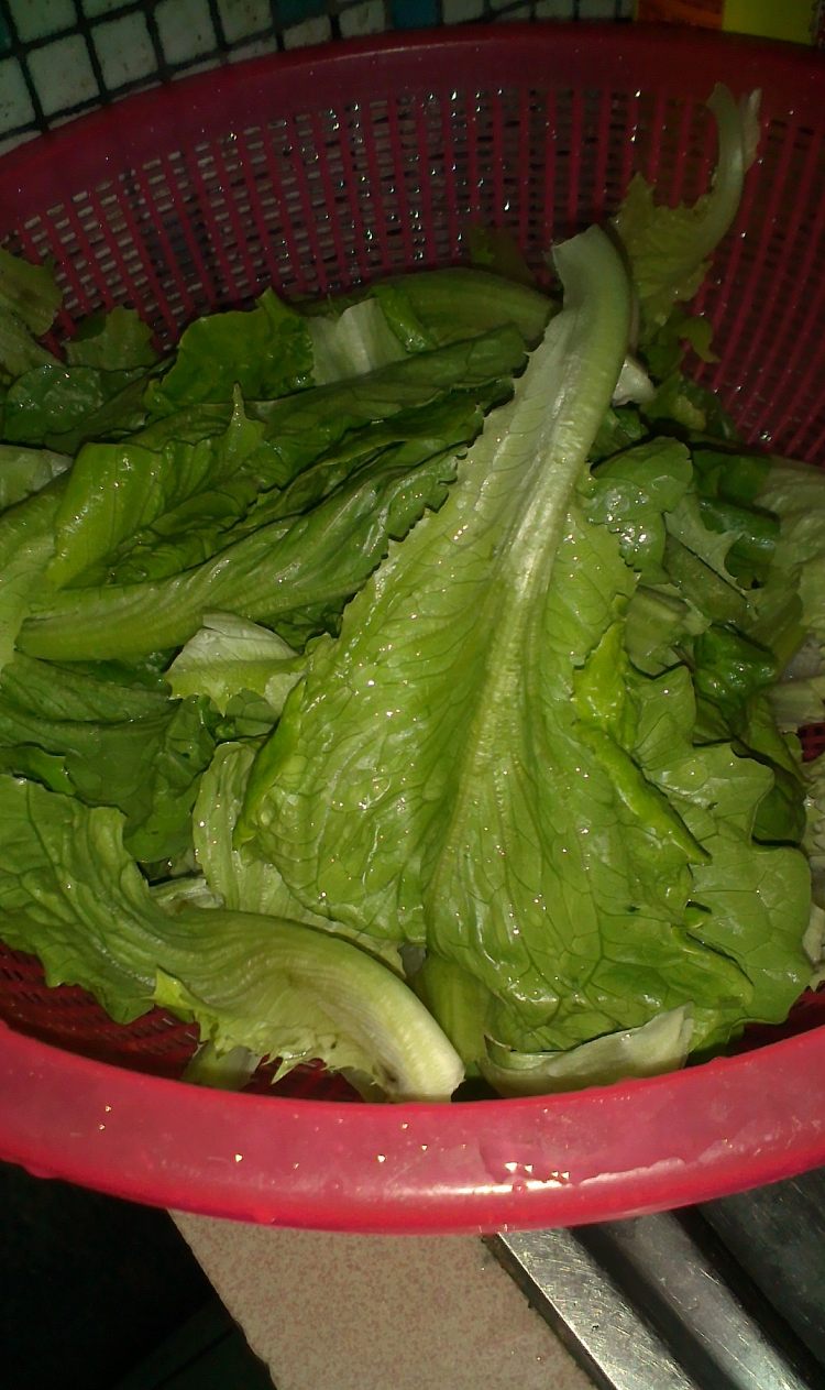 肉丸青菜汤步骤2