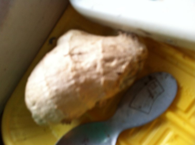 萝卜炖羊肉步骤3