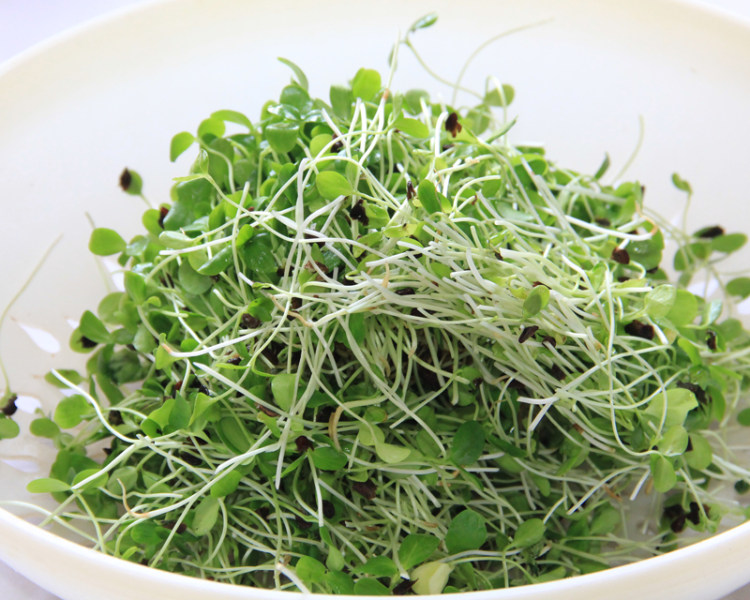 核桃仁拌香椿苗步骤3