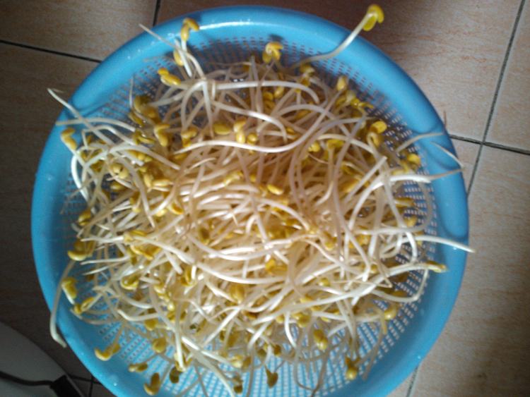 肉汁豆芽菜步骤2