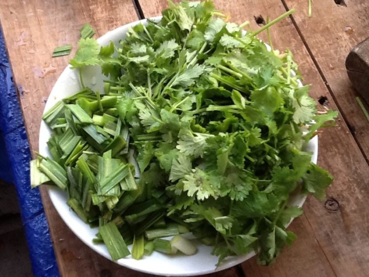 香菜蒜苗炒辣椒步骤2