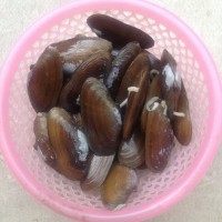 丝瓜沙螺汤步骤1
