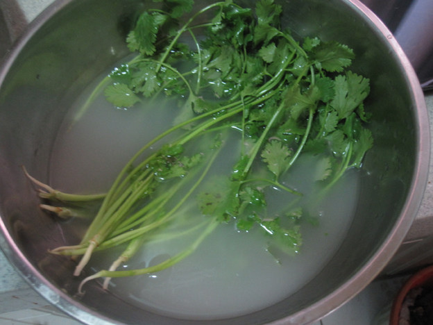 酱豆拌芜荽菜步骤1